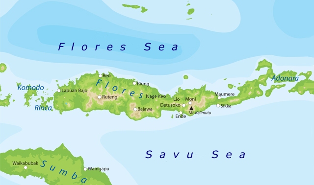 map Flores