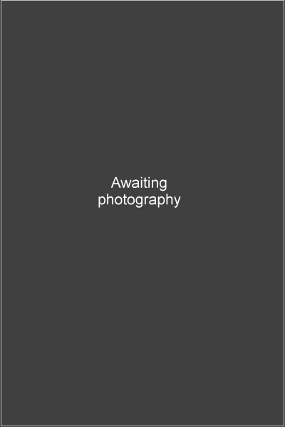 dummy image