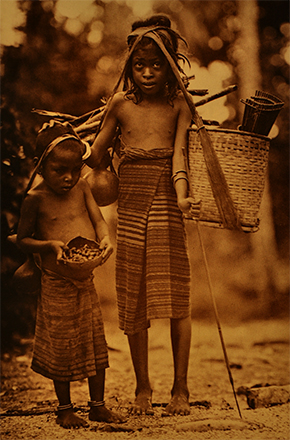 tanimbar